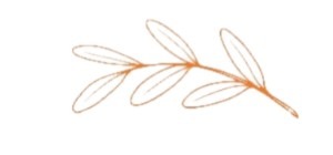 whatsapp image 2026 03 05 at 10.39.08 am